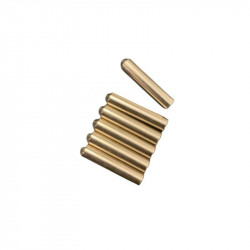 CCI KTPINS