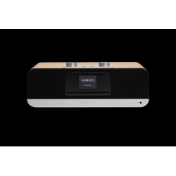 ROBERTS BLUTUNE300LE