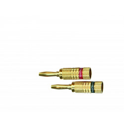 NORSTONE NORBANX4