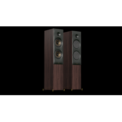 REVIVAL AUDIO SPRINT4WALNUT