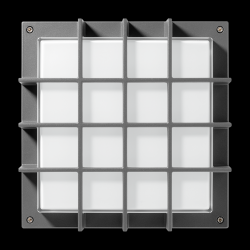 PIL P304786