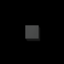 PIL P304829