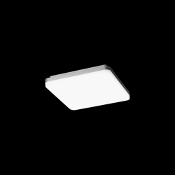PIL P3105558