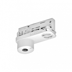 PIL P310737
