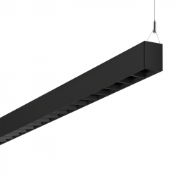 PIL P3112558